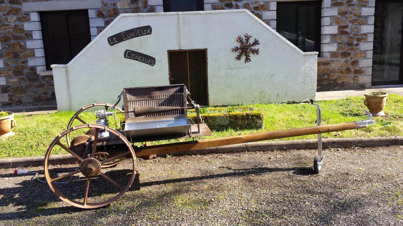 Bed and Breakfast Le Curieux De Conques Saint-Cyprien-sur-Dourdou Exterior foto