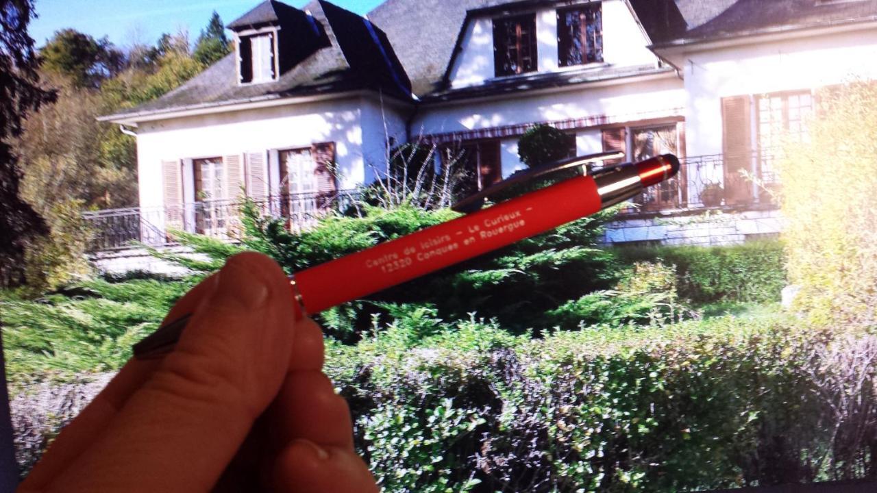 Bed and Breakfast Le Curieux De Conques Saint-Cyprien-sur-Dourdou Exterior foto